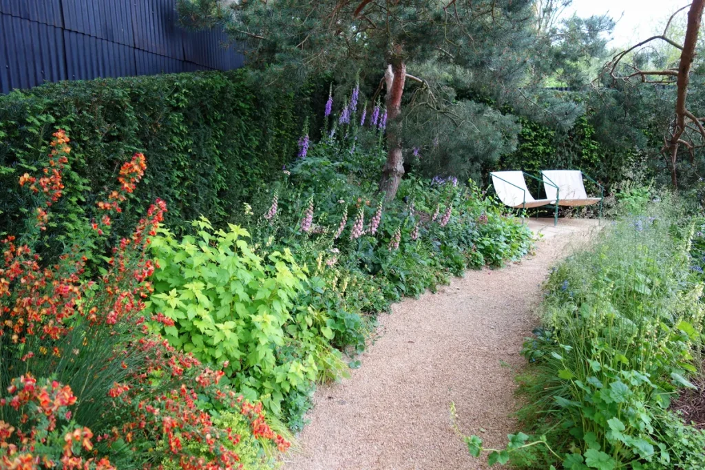 A gravel path curving through deep borders of orange flowers, foxgloves and lime-green shrubs to two pale chairs under a pine.