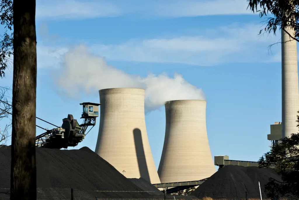 Two concrete cooling towers releasing steam behind a black coal stockpile and a stacker, framed by a tree trunk on the left.