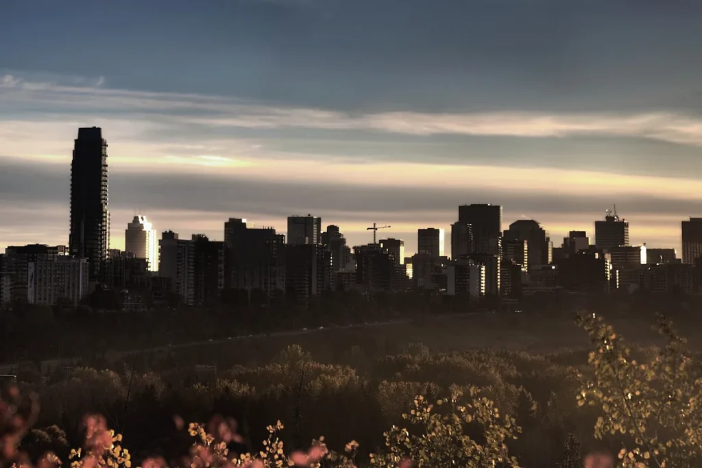 The Edmonton skyline in dark silhouette against a pale dawn sky, with the wooded river valley and autumn leaves in the foreground.